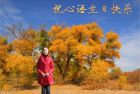 【自我介绍】我的自画像