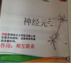 创感时代，你学感知了吗？