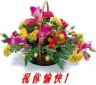 祝草路幽香、东方之宾等岛民生日快乐！