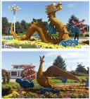 龙凤呈祥