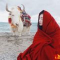 我的相册