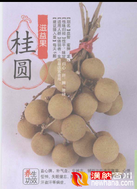 桂圆.png