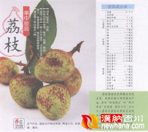 荔枝.png
