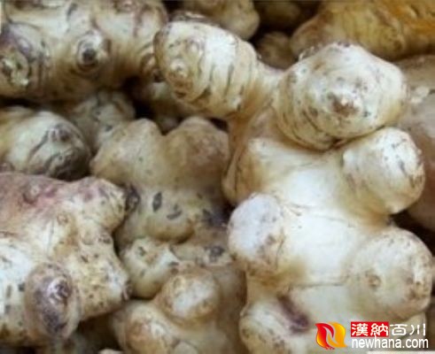 鬼子姜果
