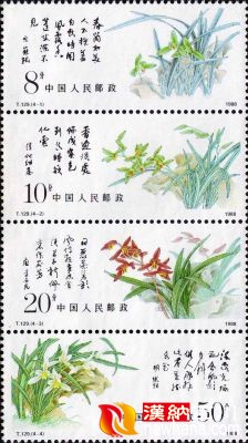 中国兰花，养兰知兰品兰花.jpg
