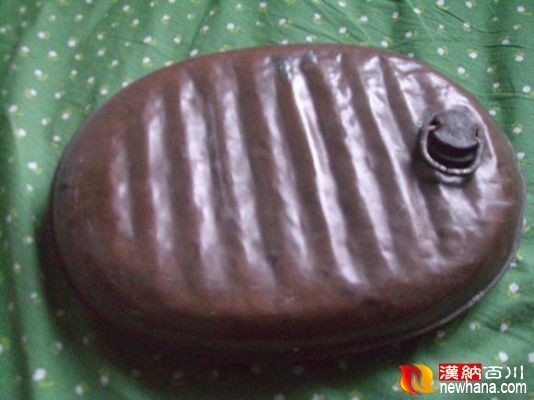 水鳖子CIMG4196.JPG