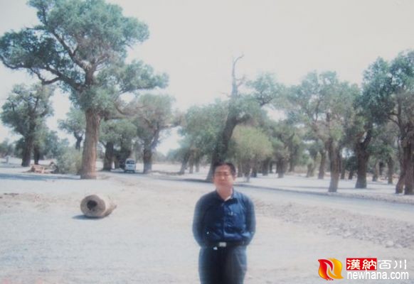 新疆胡杨树.jpg
