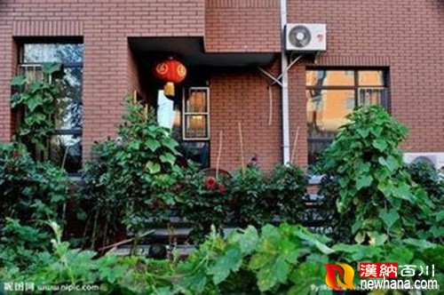 t0173265b35ef89b0f7_副本.jpg