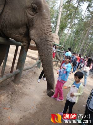 IMG_20150501_101029_副本.jpg