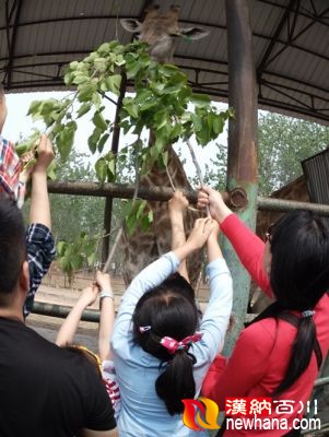 IMG_20150501_112131_1_副本.jpg