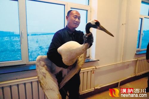 1447637876227_副本.jpg