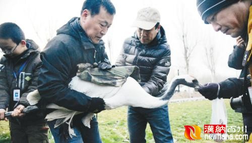 15582793_978415_副本.jpg