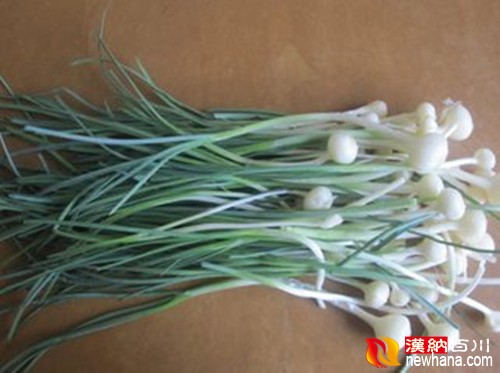 t01528adc742aec31be_副本_副本.jpg